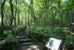漢拏山ハイキングツアーのイメージ